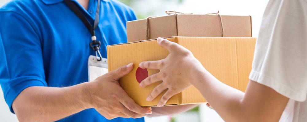 skipcart-delivery-man skipcart-delivery-man